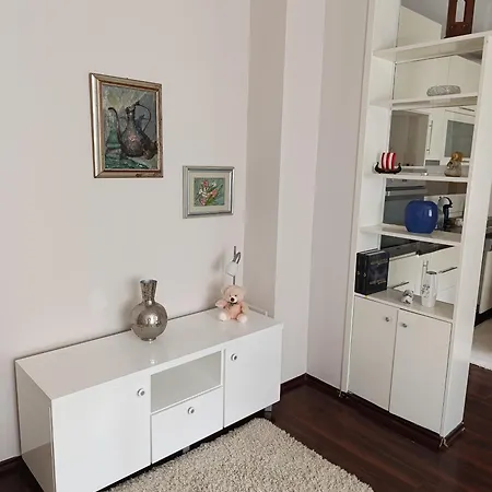 Apartment Cozy & Central, 5 Mins To Old Bridge *